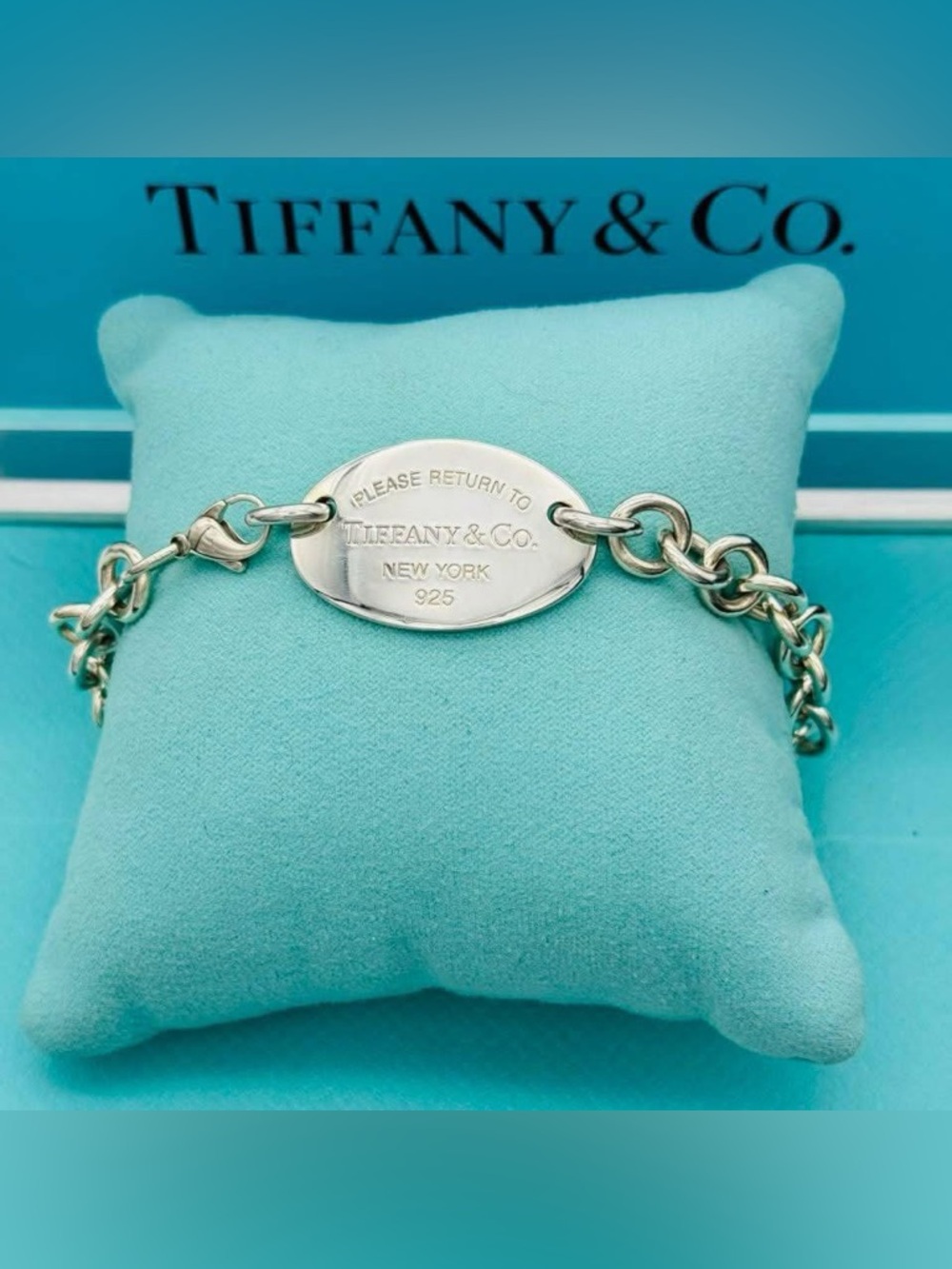 Tiffany & Co. XL Oval Tag Necklace